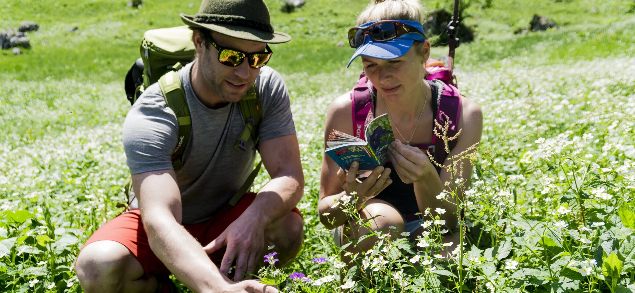 Zwei Wanderer hocken in einer Frühlingswiese und genießen die Alpenblumen | © DAV/Hans Herbig